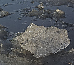 photo "Last ice"