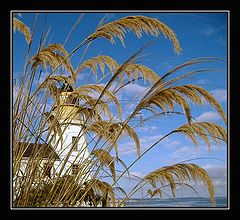 photo "August"