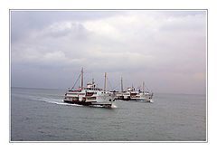 photo "white steamers"