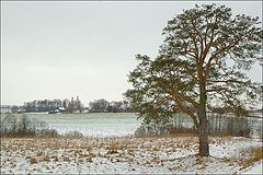 фото "Странный январь 2007-го"