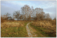 photo "***"