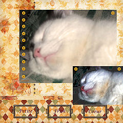 photo "Sleeping."
