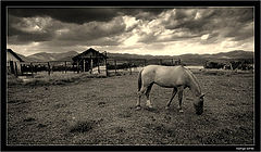 photo "before the storm"