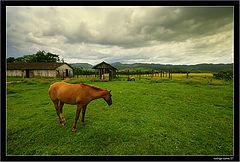 photo "time to go home"