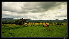 photo "going home.."