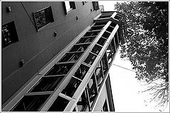 photo "L"