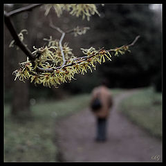 фото "The autumn and sadness"