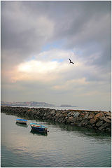 photo "***"
