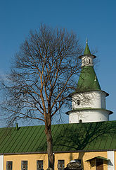 фото "Дерево и башня."