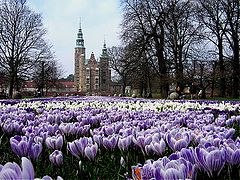 фото "Spring time."