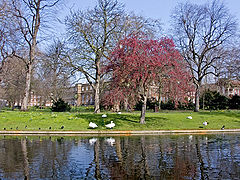 photo "A spring scene"