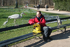 photo "Giv me your food!!!"