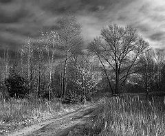 photo "***"