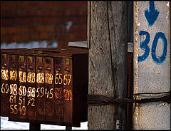фото "Digits"