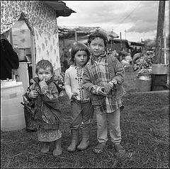 фото "Близнецы"