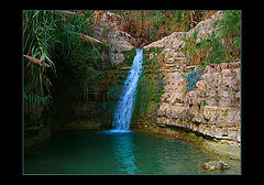 photo "Ein-gedi"