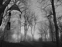 photo "***"