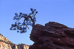 photo "Zion"