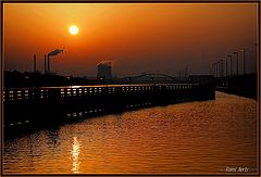 фото "Good morning friends"