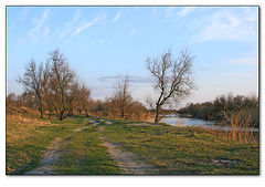 фото "мертвый донец"