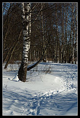 photo "***"