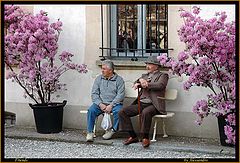 photo "friends"