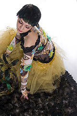 photo "Black Swan"