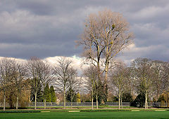 фото "The Nature of Spring"
