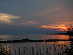 фото "boat and mangrove"