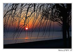 photo "x"