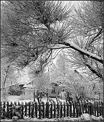 фото "Родные пампасы."