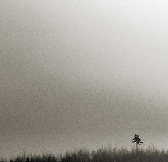 фото "___Y_"