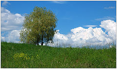 photo "***"