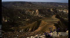 photo "good morning Negev"