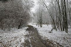 фото "Весенний снег"