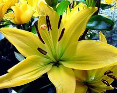 фото "" Happy Easter ""