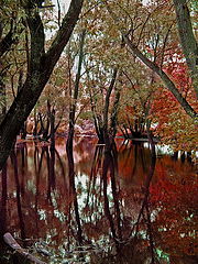 photo "***"