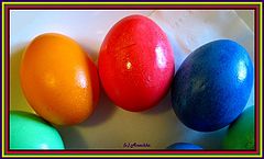 фото "Palette"