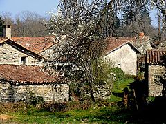 photo "The old country"