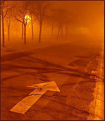 photo "This way"