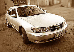 фото "бибика"