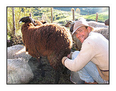 фото "Le lait"