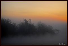 фото "misty sunup"