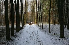 photo "***"