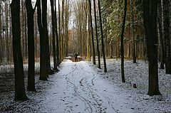 фото "Весенний снег"