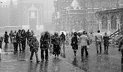 фото "Апрельский снегопад"