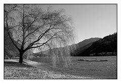 фото "Waiting the summer..."