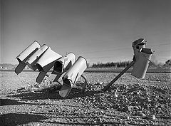 photo "the death in a desert"