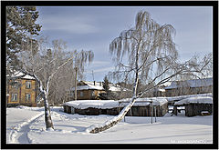 photo "About the winter"