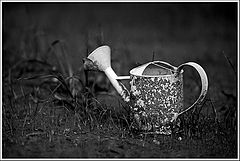 photo "Forgotten"